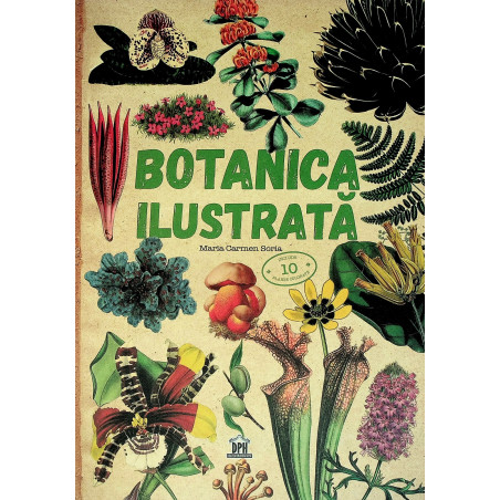 Botanica ilustrata