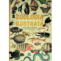 Zoologia ilustrata