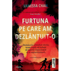 Furtuna pe care am...