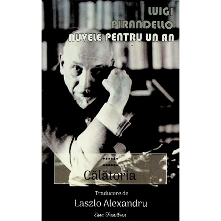 Nuvele pentru un an, vol....
