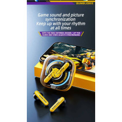 Transformers Bumblebee...