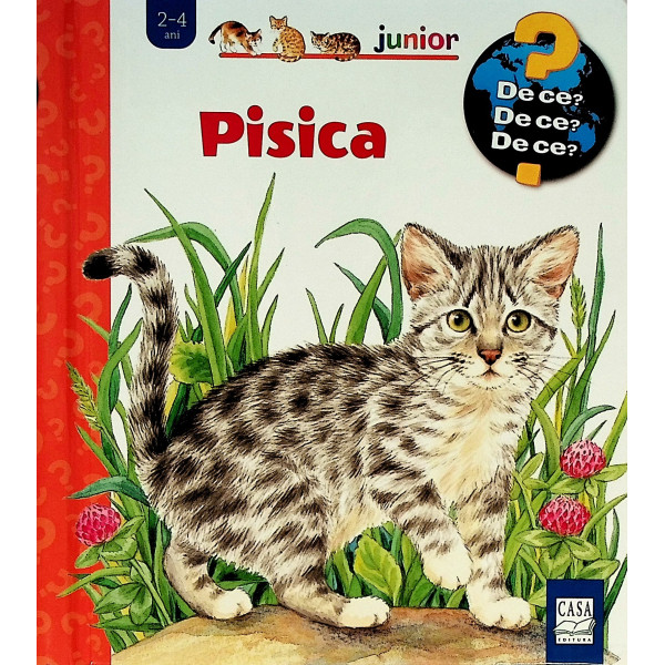 Pisica