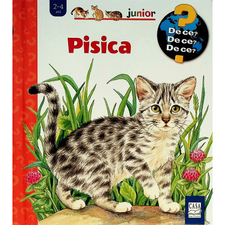 Pisica