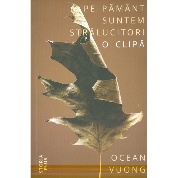 Pe pamant suntem stralucitori o clipa