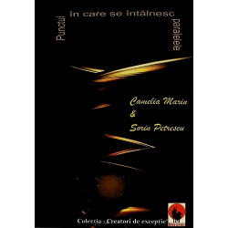 Punctul in care se...