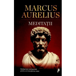 Meditatii