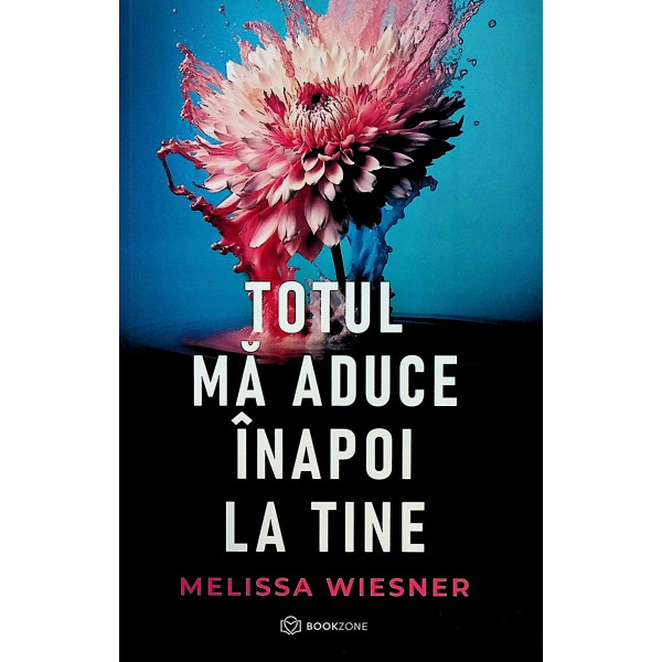 Totul ma aduce inapoi la tine