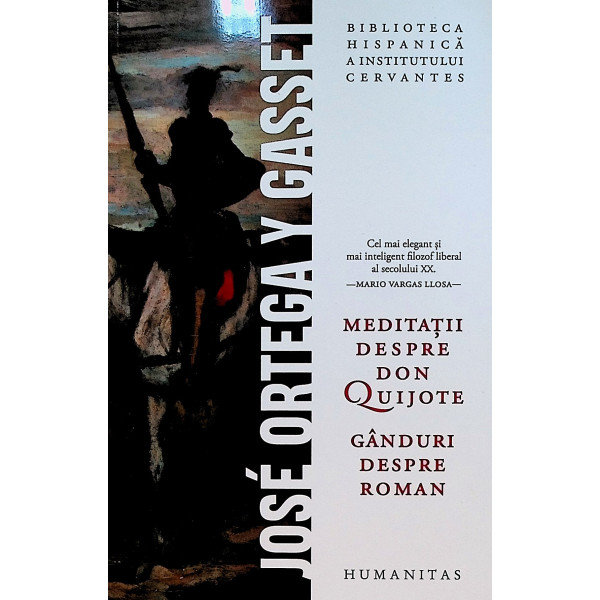 Meditatii despre Don Quijote. Ganduri despre roman