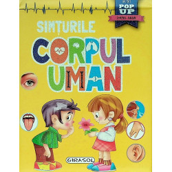 Corpul uman - Simturile