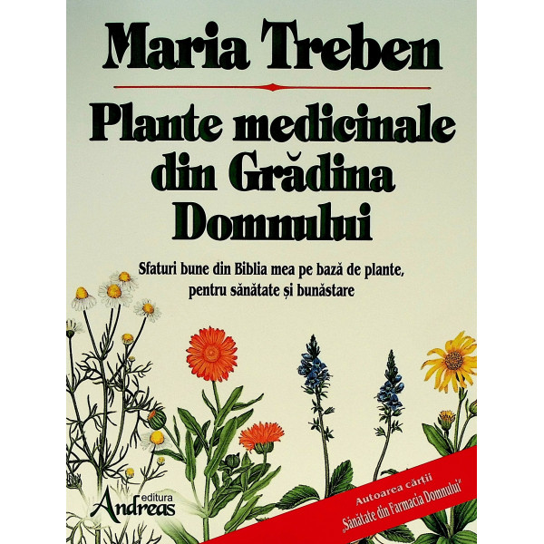 Plante medicinale din Gradina Domnului