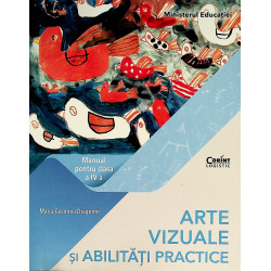 Arte vizuale si abilitati...