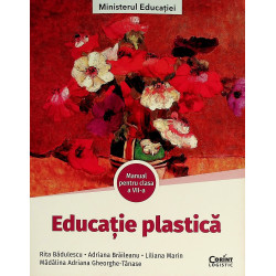 Educatie plastica, clasa a...