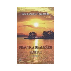 Practica realizarii...