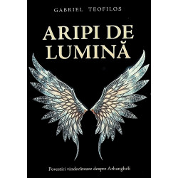 Aripi de lumina. Povestiri...