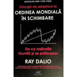 Principii de adaptare la...