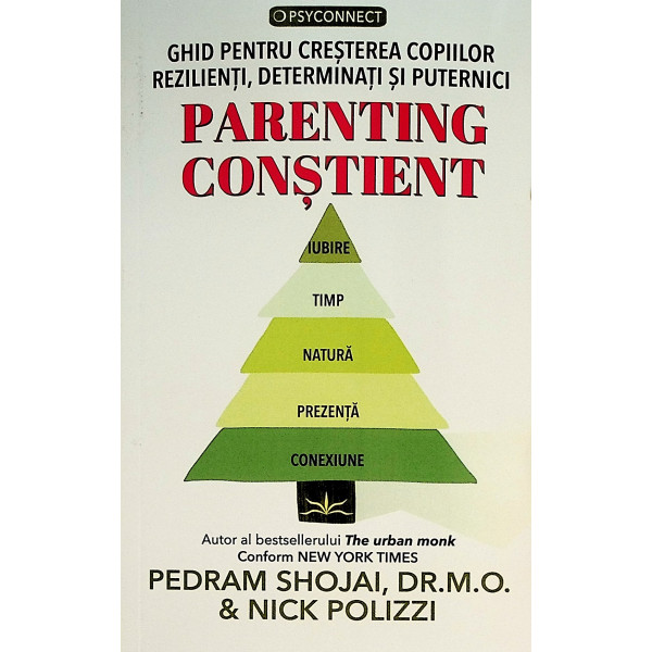 Parenting constient. Ghid pentru cresterea copiilor rezilienti, determinati si puternici
