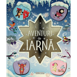 Aventuri de iarna