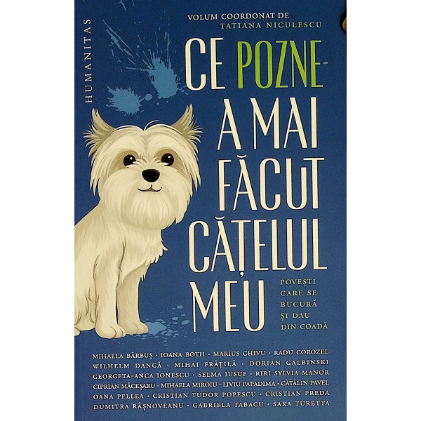 Ce pozne a mai facut catelul meu