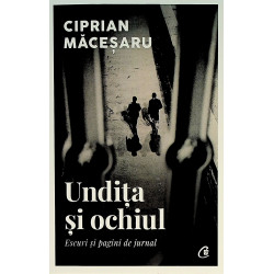 Undita si ochiul. Eseuri si...
