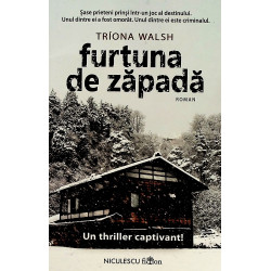 Furtuna de zapada