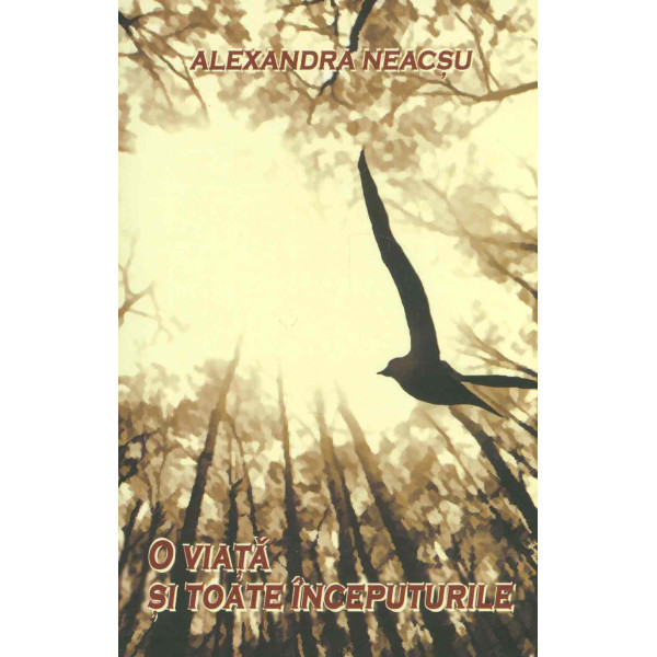 O viata si toate inceputurile: roman de stare