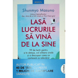 Lasa lucrurile sa vina de...