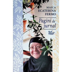 Pagini de jurnal