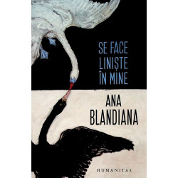 Se face liniste in mine