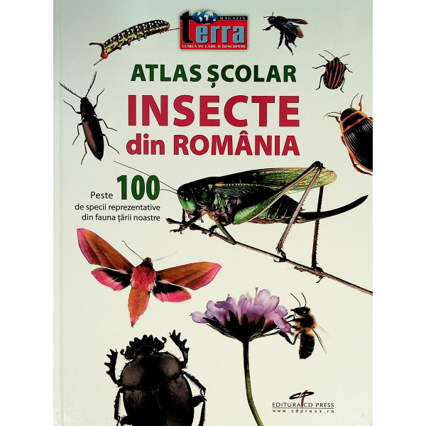 Insecte din Romania - Atlas scolar