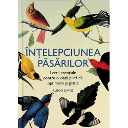 Intelepciunea pasarilor....