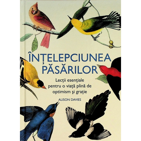 Intelepciunea pasarilor....