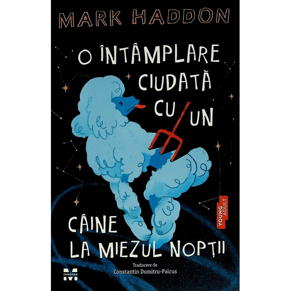 O intamplare ciudata cu un caine la miezul noptii