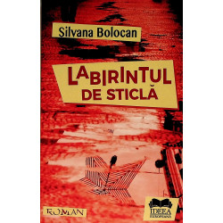 Labirintul de sticla