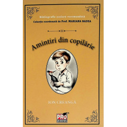 Amintiri dib copilarie