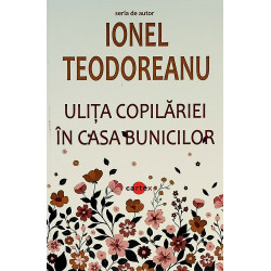 Ulita copilariei. In casa...