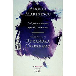 Imi provoc poezia, esecul...