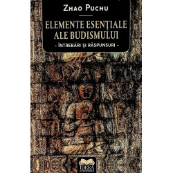 Elemente esentiale ale...