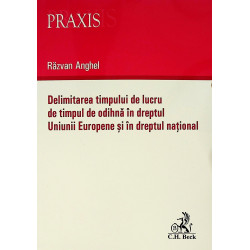 Delimitarea timpului de...