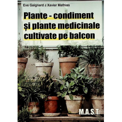 Olante - Condiment si...