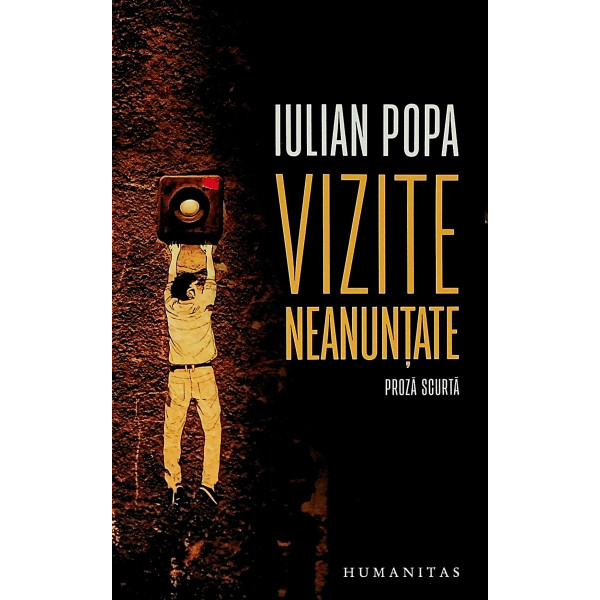 Vizite neanuntate. proza scurta