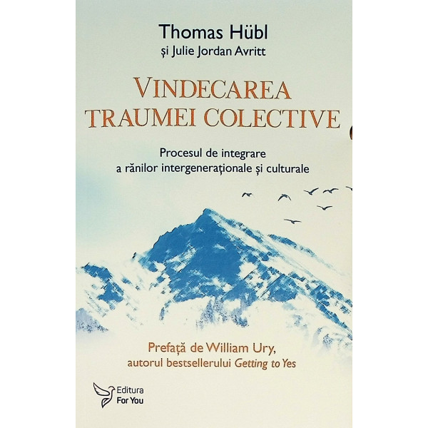 Vindecarea traumei colective. Procesul de integrare a ranilor intergenerationale si culturale