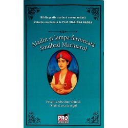 Aladin si lampa fermecata....