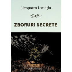 Zboruri secrete