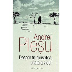 Despre frumusetea uitata a...