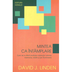 Mintea ca intamplare