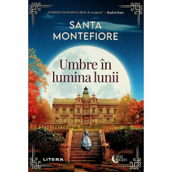 Umbre in lumina lunii