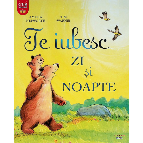 Te iubesc zi si noapte