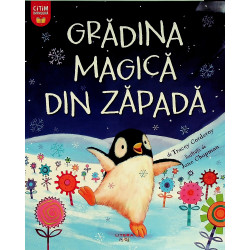 Gradina magica din zapada