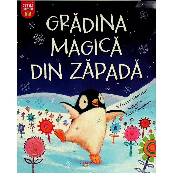 Gradina magica din zapada