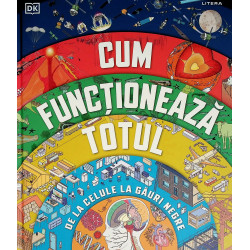 Cum functioneaza totul. De...